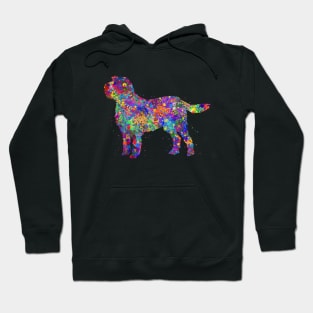 Italian Spinone dog Hoodie